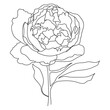 © GreatPeachy - Peony flower, line art. Vector illustration. Isolated on a white background. Hand drawing. Sketch. For attachments, postcards, tattoos, decor.