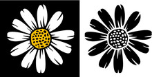 Vector Illustration Of Daisy Flower