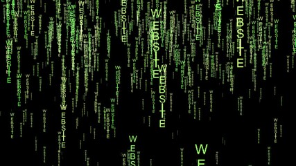 website data code on the web