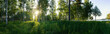Scenic panorama of morning sun shines through birch forest at swedish countryside, Sun shine, long green grass,lake. Sweden, Umea