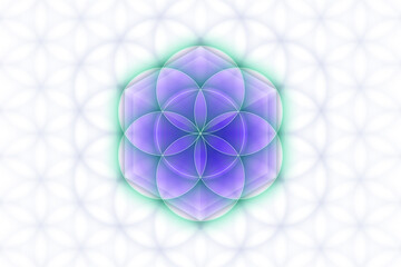 Wall Mural - Sacred geometry, seed of life. Vector background.