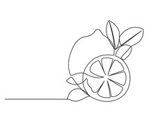 Lemon With Leaves Continuous One Line Drawing. Black Line Fruit Sketch On White Background. Citrus Contour Outline Illustration. Vector EPS 10.