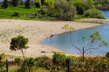 Sticker - Quarry Lakes Regional Recreation Area, Fremont