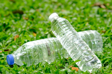 Canvas Print - bottle of water in green natural background and space