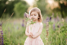 Portrait Of Cute Little Happy Two Year Old Kid Girl With Bloom Flowers Lupines In Field Of Purple Flowers. Child In Nature Concept. Summer Vacation Holidays. Spring Allergy Season. Childhood