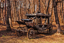 Classic Funeral Carriage With Coffin Abandoned In Forest