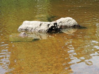 Poster - Stone in the water