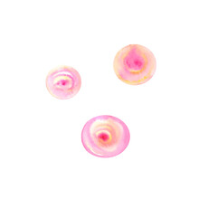 Watercolor Set Pink And Yellow Circular Blurred Spots Isolated On A White Background. Watercolor Washes Abstract. Blush. The Sun. Hand Drawn Illustration