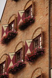 Fototapeta Psy - Gdańskie kolorowe okna
