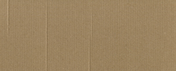Wall Mural - cardboard brown paper packing texture background