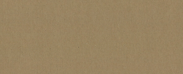 Wall Mural - cardboard brown paper packing texture background