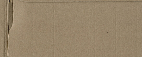 Wall Mural - cardboard brown paper packing texture background