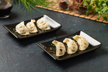 Wall Mural - Original Japanese dumplings Gyoza with chicken and vegetables.Front view. Dark blue backgrund.