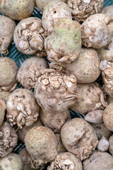 Sticker - Celery roots. Selling root vegetables in a supermarket.