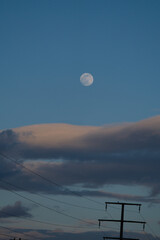 Wall Mural - Big Moon with some clouds and blue sky at the afternoon