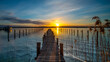 © T. Linack - Ammersee