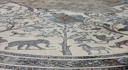 Archaeological site of  Volubilis in Morocco