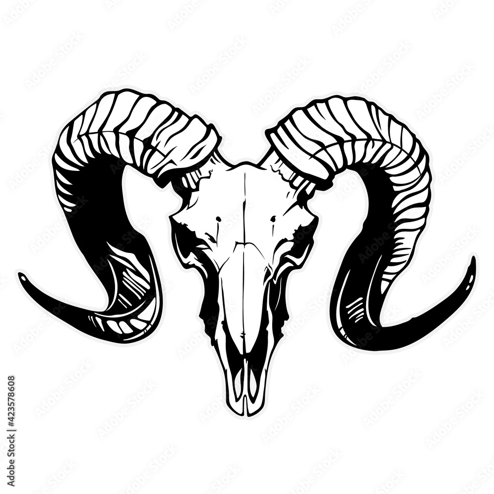 mountain goat skull with black horns Stock Vector | Adobe Stock