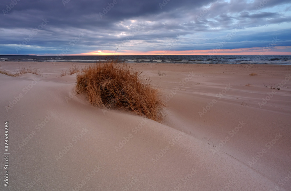 Morze Bałtyckie, zachód słońca, plaża w Kołobrzegu, Polska. - obrazy, fototapety, plakaty 