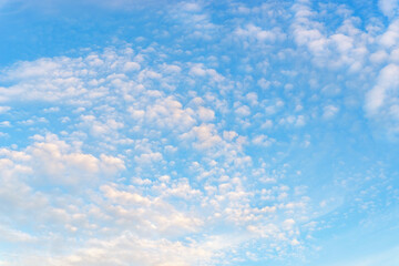Wall Mural - fluffy translucent cirrocumulus clouds high in a blue sky. tranquil skyscape on a sunny day as a bac