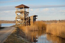 Modern Wooden Stairway (boardwalk), Bird Watching Tower Near The Lake Shire. Early Spring. Nature, Environment, Ecotourism, Recreation, Ecological Reserve, National Park, Ornithology, Science