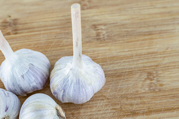 fresh garlic close-up stands on a light beige wooden background