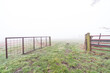 © denboma - fences of a meadow in the fog