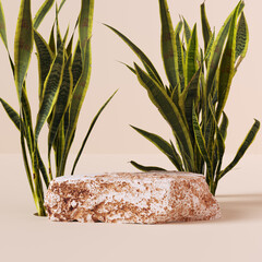 Wall Mural - Product presentation background with stone and houseplant, 3d rendering
