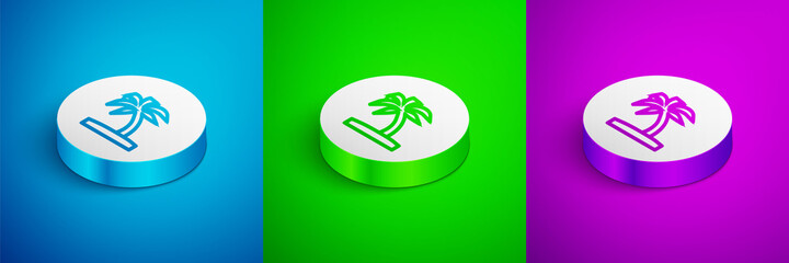 Isometric line Tropical palm tree icon isolated on blue, green and purple background. Coconut palm tree. White circle button. Vector