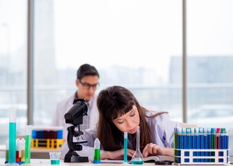 two chemists working in lab experimenting