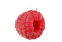 Red Raspberry Isolated On White. Very Detailed