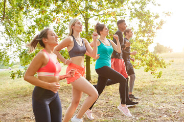 Wall Mural - Gruppe junger Leute beim Fitness Lauftraining