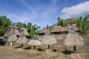 Wall Mural - Row of traditional ngadu, symbols of male ancestors of the Ngada people or tribe in Luba village near Bajawa on Flores island, East Nusa Tenggara, Indonesia