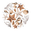 Ocean composition, sea corals and shells, watercolor illustration