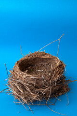 empty bird nest on blue background