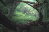 A moody, ethereal lush woodland forest with a bent tree in atmospheric misty fog at Ravelston Woods in Edinburgh, Scotland.