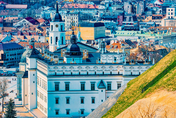 Wall Mural - St. Stanislaus Cathedral on Cathedral Square with Monument to Grand Duke Gediminas in Vilnus.