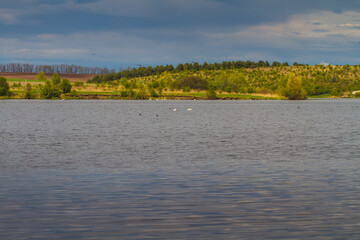 lake in the forest