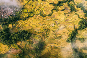 Wall Mural - Aerial view of farmland and cloudscape of Yuanyang Terrace Scenic Area