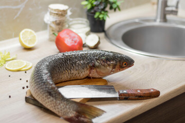 Fish. There is a raw fish cut into pieces on the kitchen board. And the whole thing.