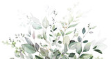 Fototapeta  - watercolor botanic, Leaf and buds.  herbal composition for wedding or greeting card. Spring Border with leaves eucalyptus