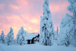 Lapland Evening Sky
