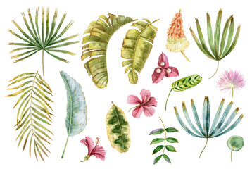  Watercolor tropical leaves and flowers collection. Set of exotic hand drawn leaves. Exotic flowers set.