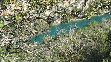 Wall Mural - verdon