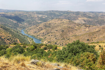 Canvas Print - Amazing View of the river in Douro International Nature Park, Portugal