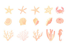 Seashells Vector Set. Collection Of Flat, Cartoon Sketches Of Molluscs Sea Shells, Starfish, Sea Urchin, Seahorse, Hippocampus, Crab, Coral. Trendy Coral Reef Under Water Collection Isolated On White