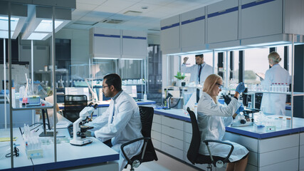 Wall Mural - team of medical research scientists conduct experiments with help of microscope, test tubes, micropi