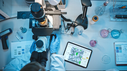 Wall Mural - top down view of a medical research scientist in blue rubber gloves working behind table in a modern