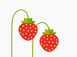 Wall Mural - red strawberry fruits on plant stems illustration.