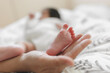 © Suradech - Feet of a newborn baby in the hands of parents, Cute baby feet.